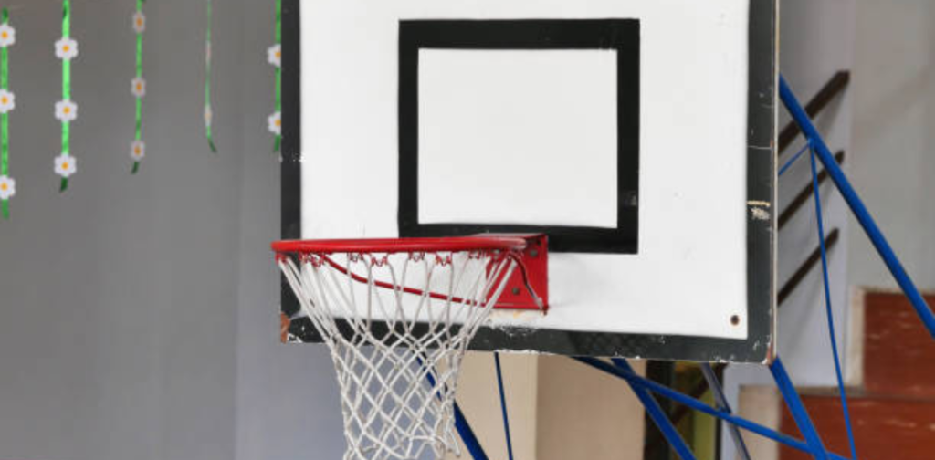 why are basketball hoops so expensive